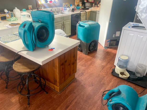 Best Residential water damage restoration  in Johnson City, TX