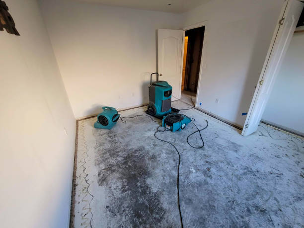 Best Local water damage restoration  in Johnson City, TX