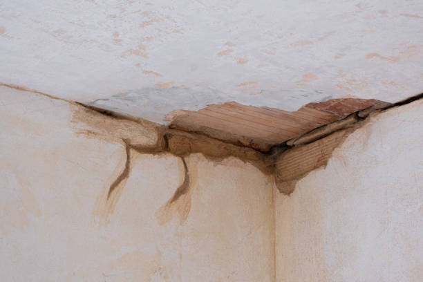 Best Flood restoration services  in Johnson City, TX