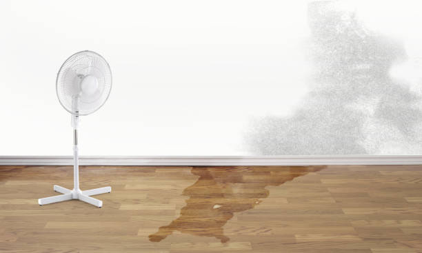 Best 24/7 water damage repair  in Johnson City, TX