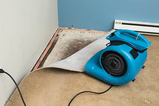 Best Water damage contractors near me  in Johnson City, TX
